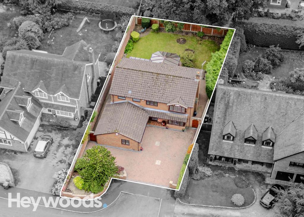 20240924-DJI 0088-Enhanced-SR - Copy