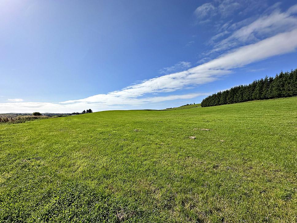 Additional Land