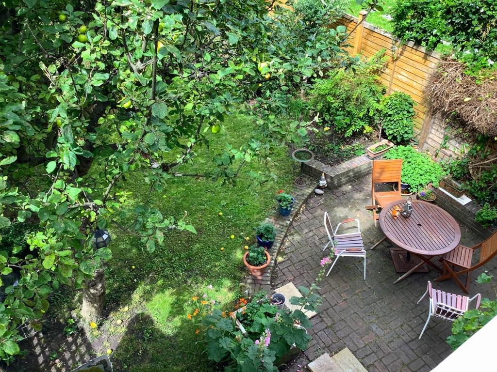 View to Garden From Upstairs