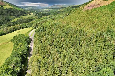 Woodland for sale, Craig-y-cae Woodland, Llandrindod Wells, Powys LD1