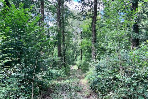 Woodland for sale, Craig-y-cae Woodland, Llandrindod Wells, Powys LD1