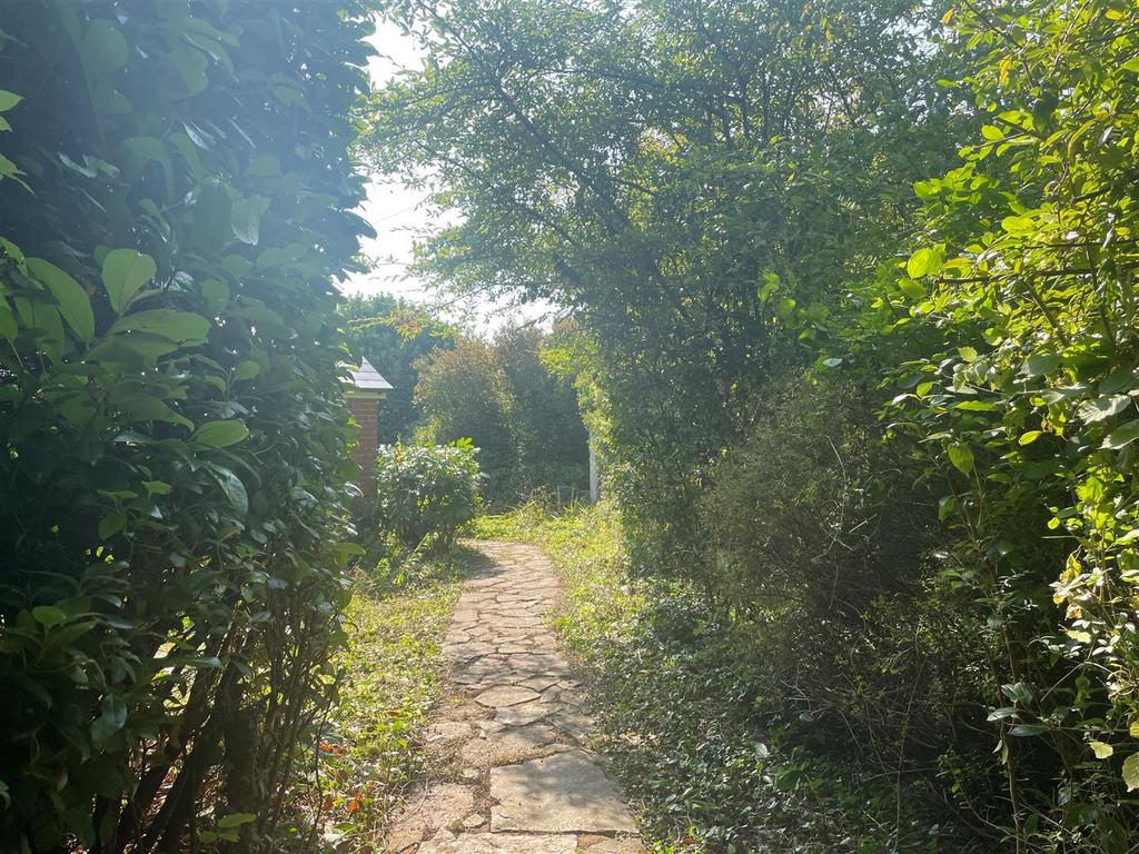 Amport Beeches