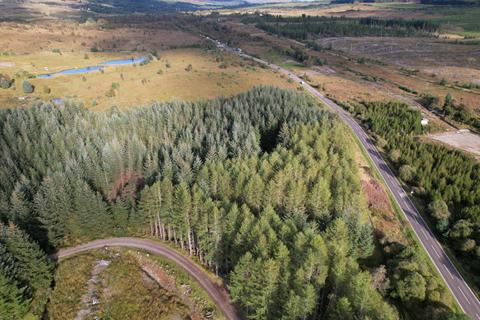 Woodland for sale, Heritage Woodland, Plot 12, 0.5 Acres, Spean bridge, Fort William PH34