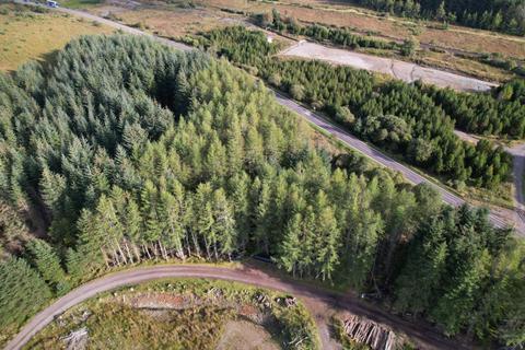 Woodland for sale, Heritage Woodland, Plot 12, 0.5 Acres, Spean bridge, Fort William PH34