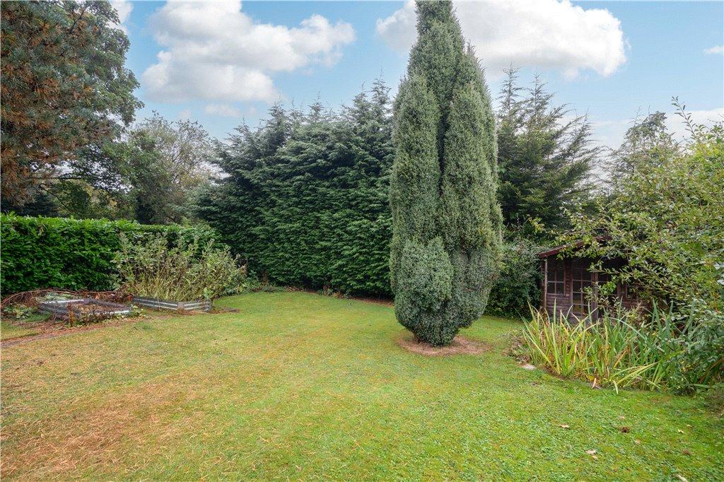 Mature Garden