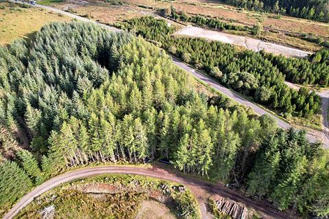 Woodland for sale, Heritage Woodland Plot 2, 1 Acre Plot, Spean Bridge, Scottish Highlands PH34