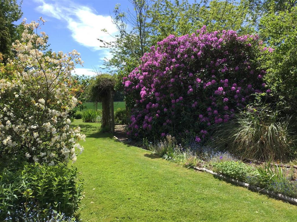 Garden in Summer