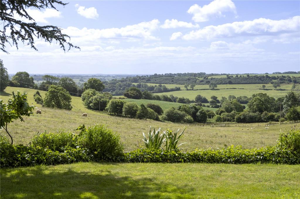 Garden and View