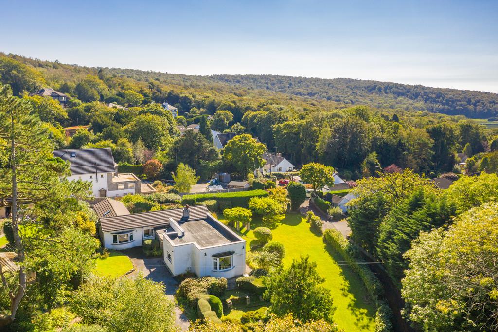 Drone View