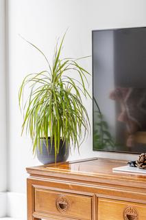 Flat 1, 72 Stapleton Hall Road, London, N4 4QA