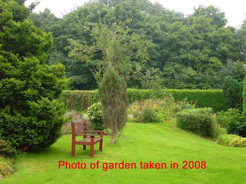 Garden 2008 b.jpg