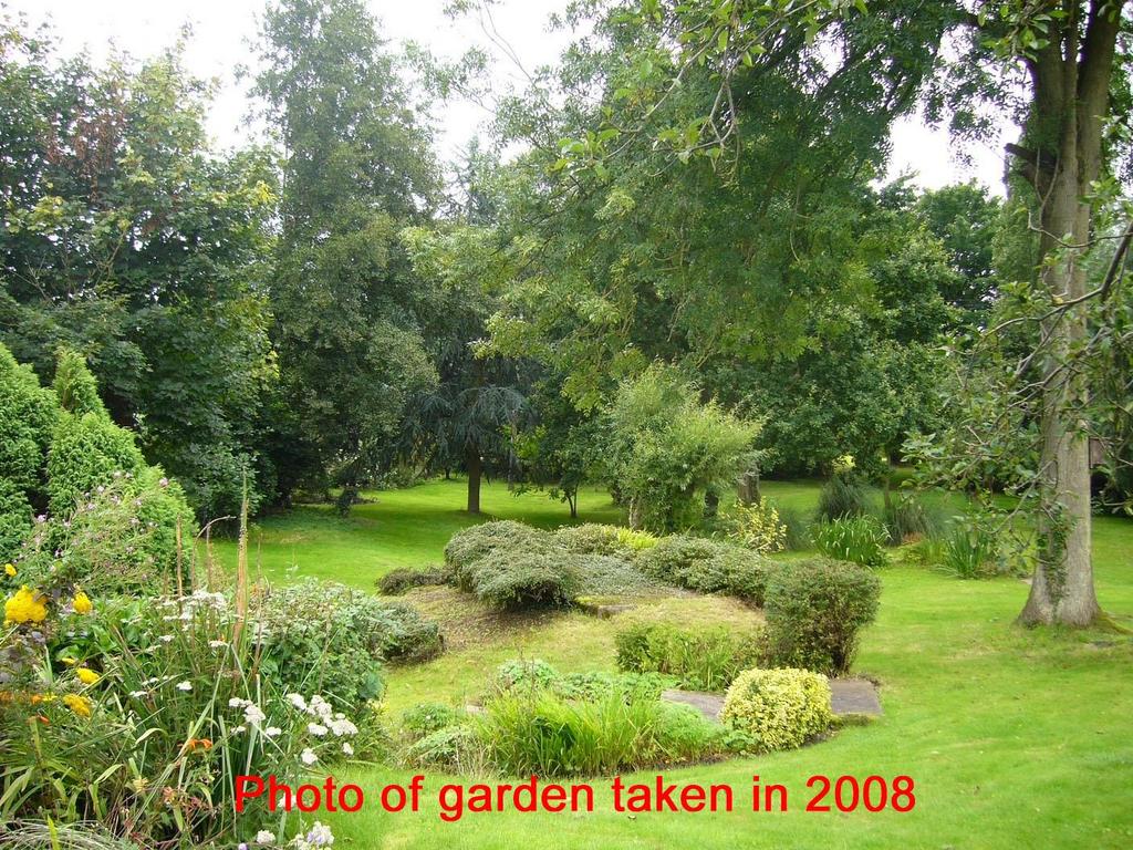 Garden 2008 a.jpg