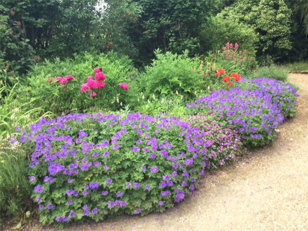 Garden In Spring