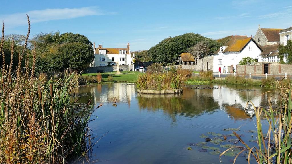 Rottingdean Pond.jpg