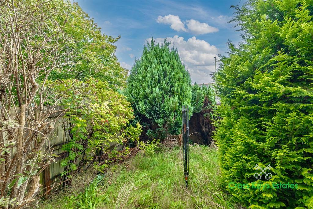 Garden And Driveway