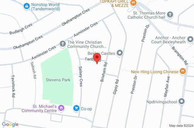 Google Maps Image