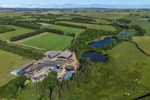 undefined, Old Mill Farm, Strichen, Fraserburgh, Aberdeenshire, AB43