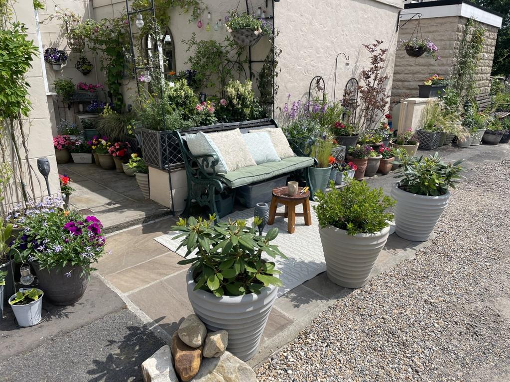 Rear Yard