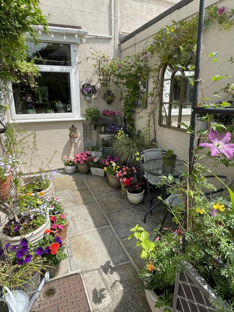Rear Yard