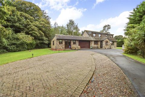 3 bedroom detached house for sale, Field House Close, Morpeth NE61