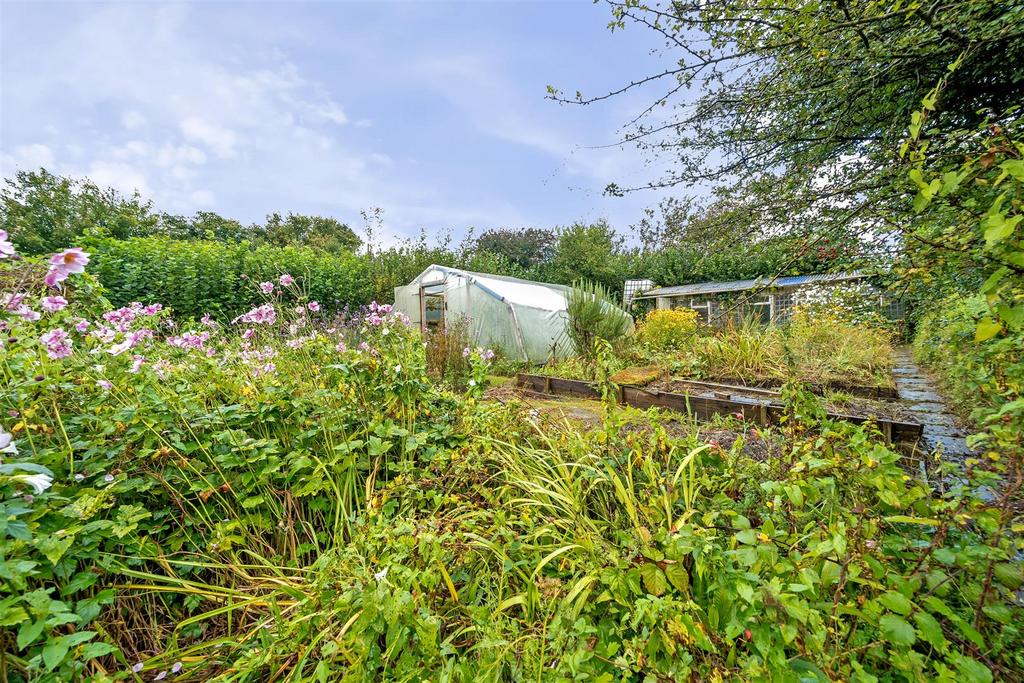 Vegetable Garden