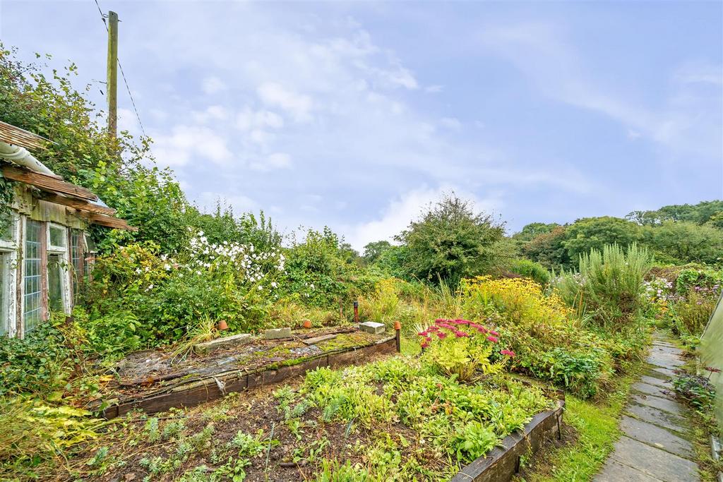 Vegetable Garden