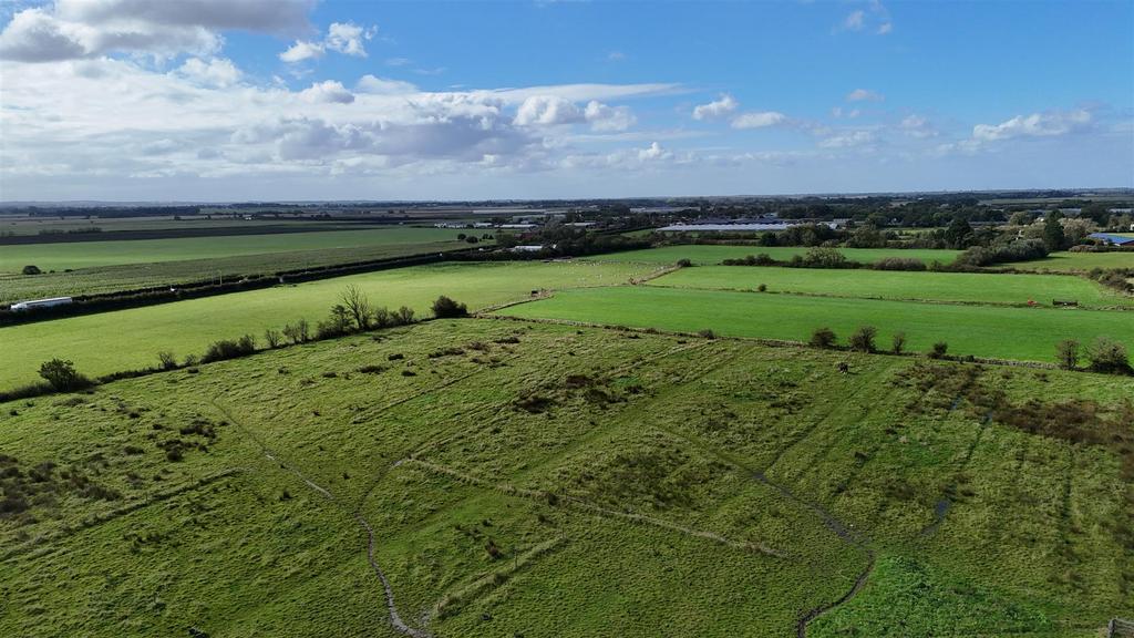 Dji fly 20241002 120618 0005 1727867241841 photo.J