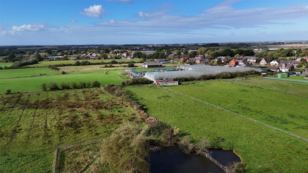 Dji fly 20241002 120612 0003 1727867237738 photo.J