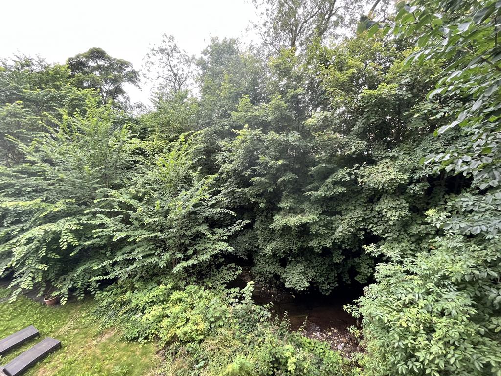 Img 0527