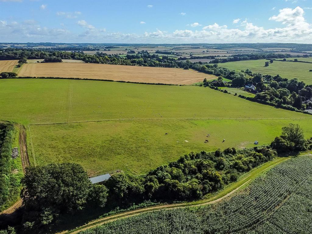 DJI 0865.jpg
