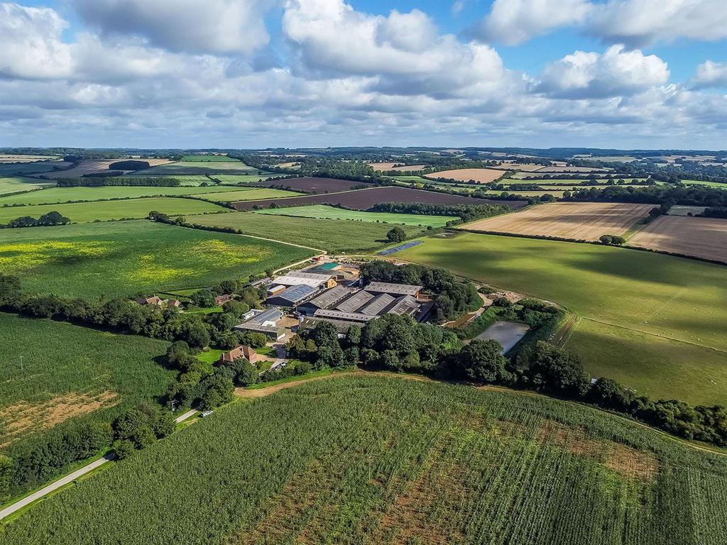 DJI 0882.jpg