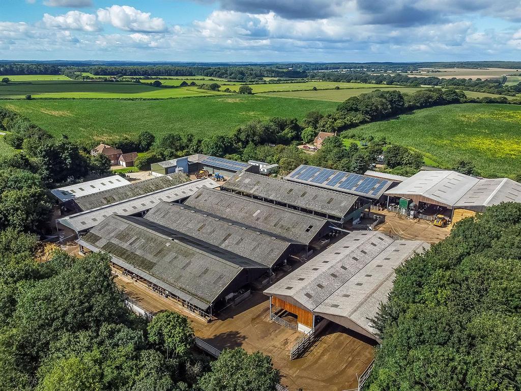 DJI 0926.jpg