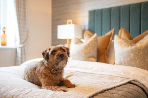 undefined, Violet Place, Bagshot