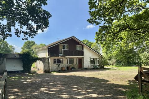 undefined, Mannington, Wimborne, Dorset, BH21