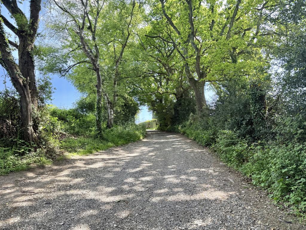 Road