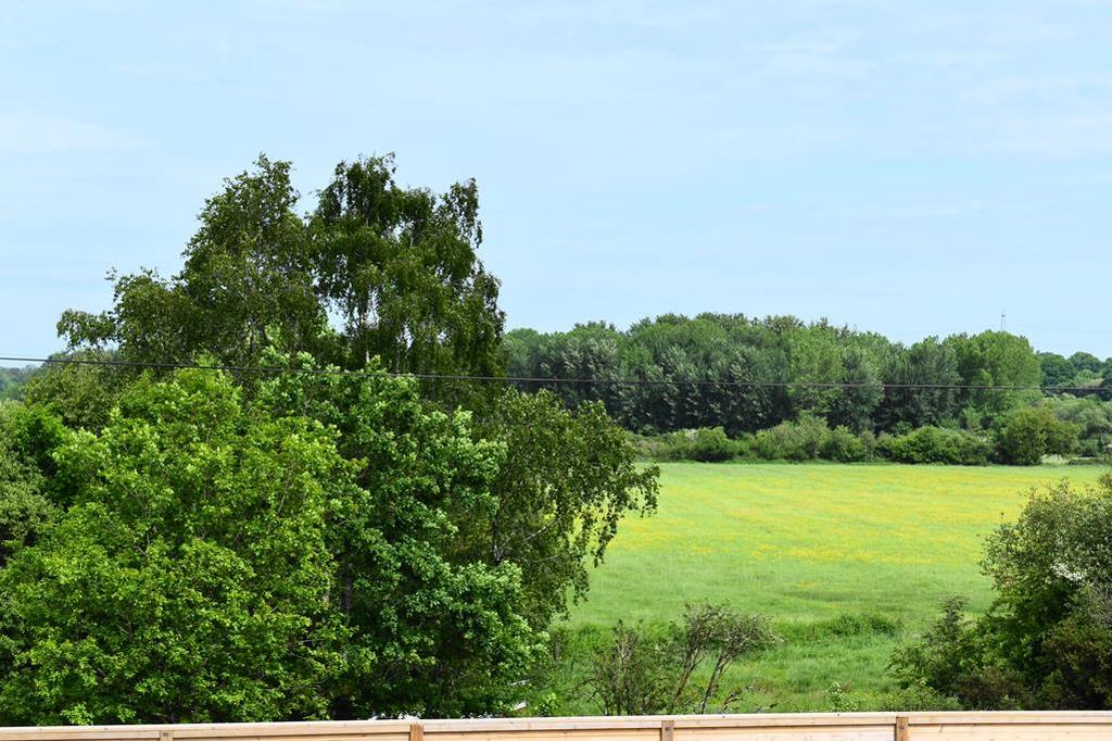 Wimborne country park view (Copy)