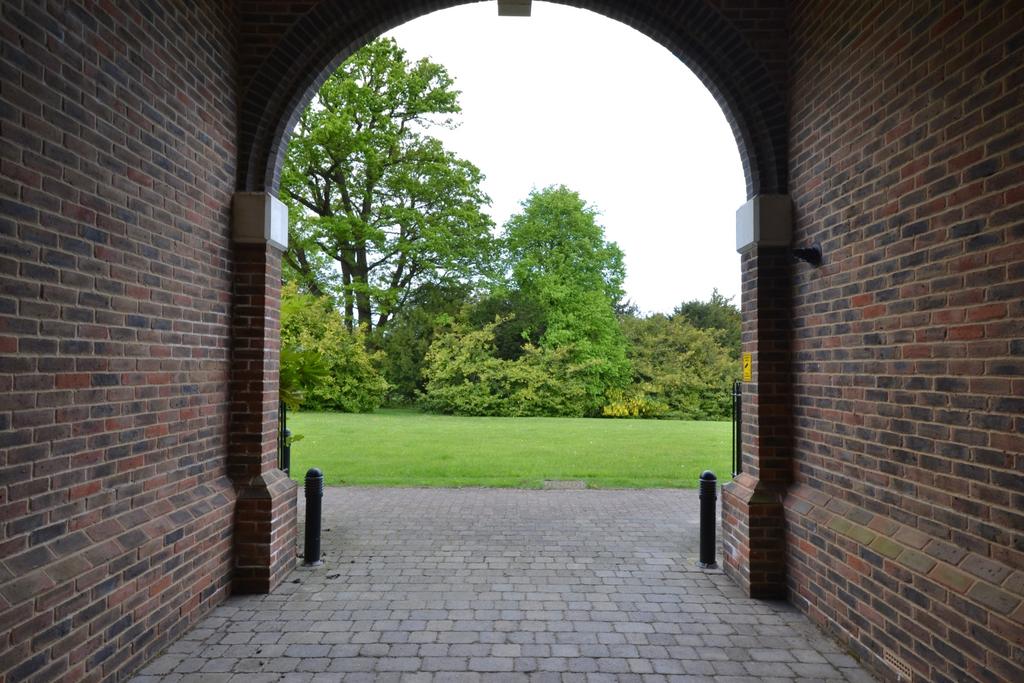 Grounds
