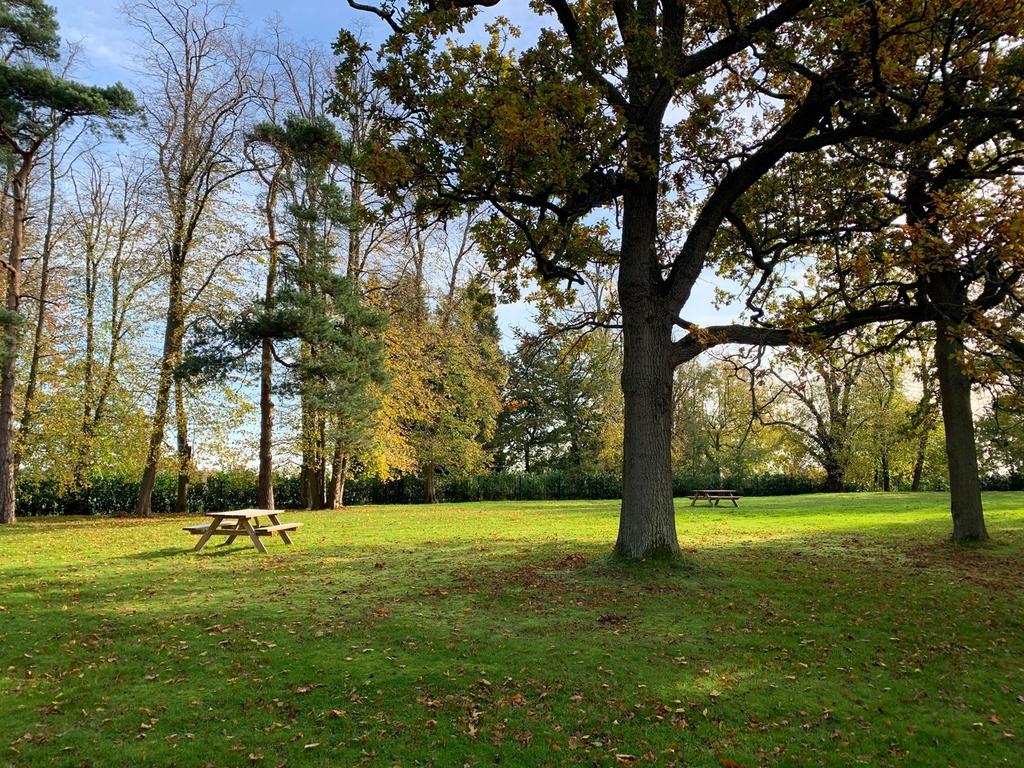Grounds