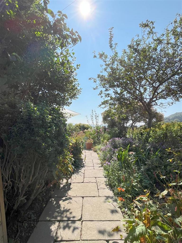 Outside 3.jpg