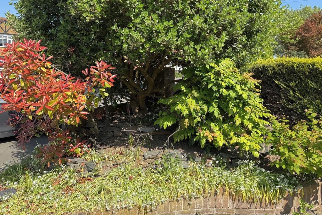 Front Garden