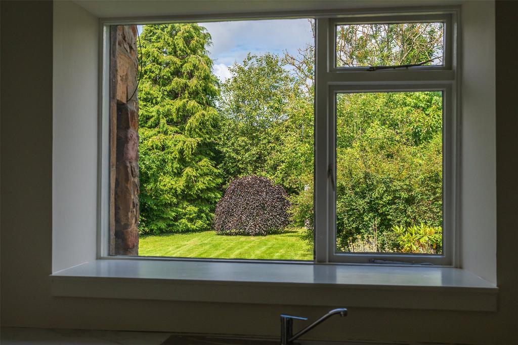 Kitchen View