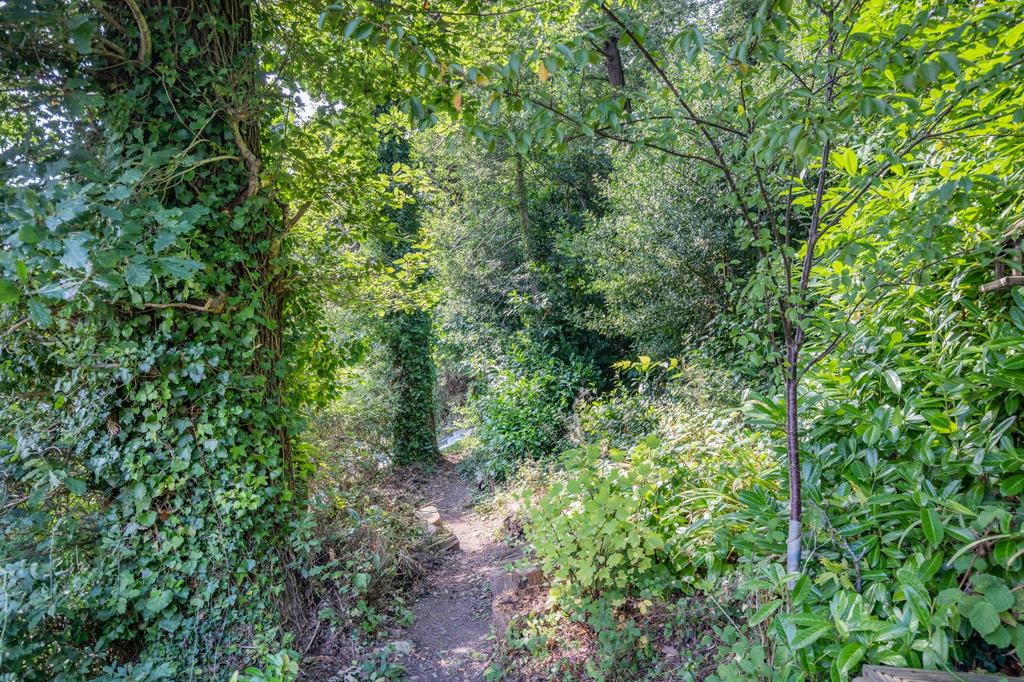 Woodland
