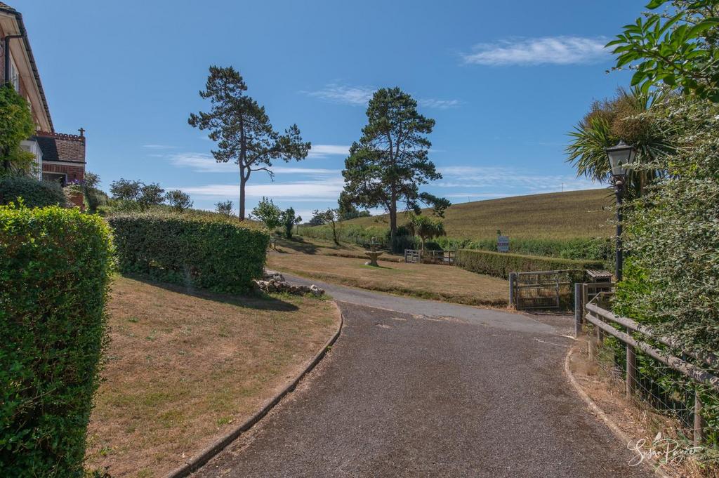 Driveway