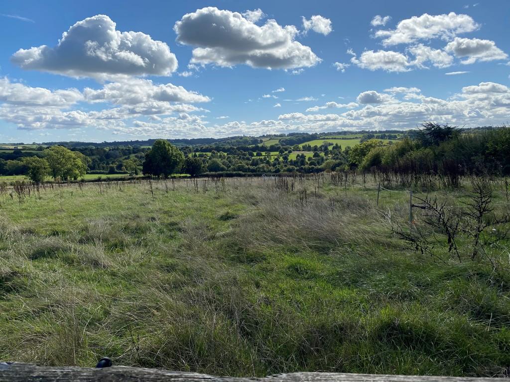 The view over the fields behind