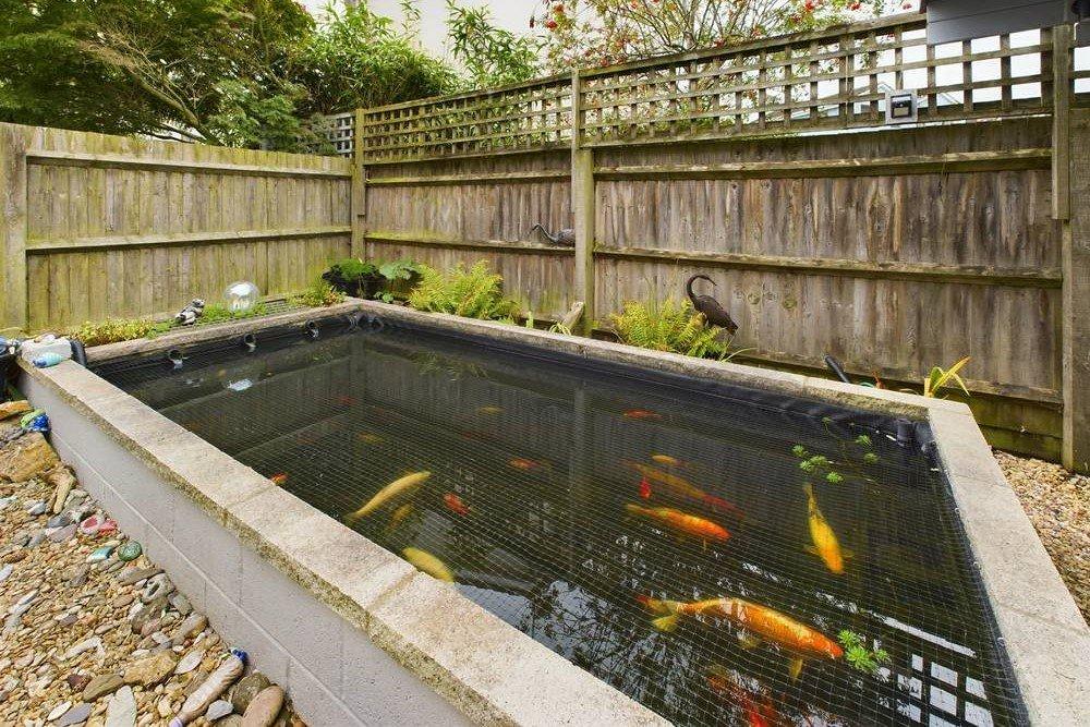 Pond