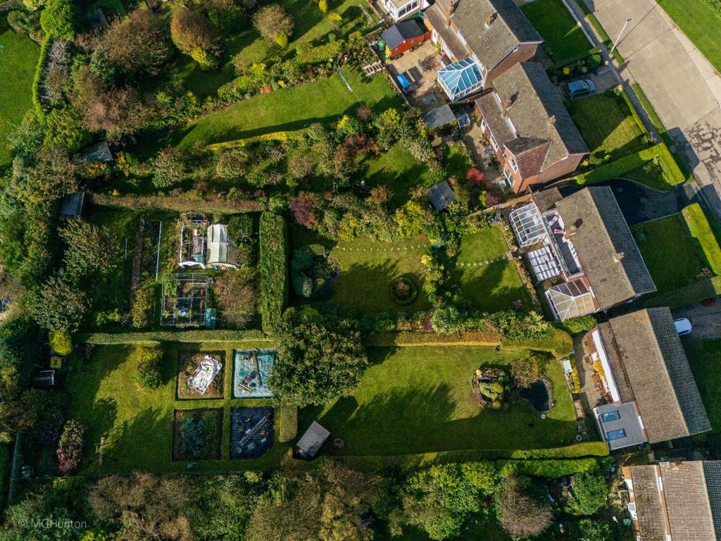 DJI 0965.jpg