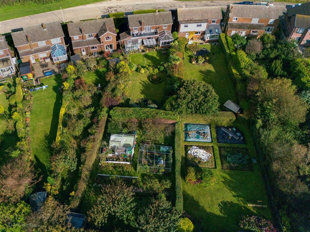 DJI 0964.jpg