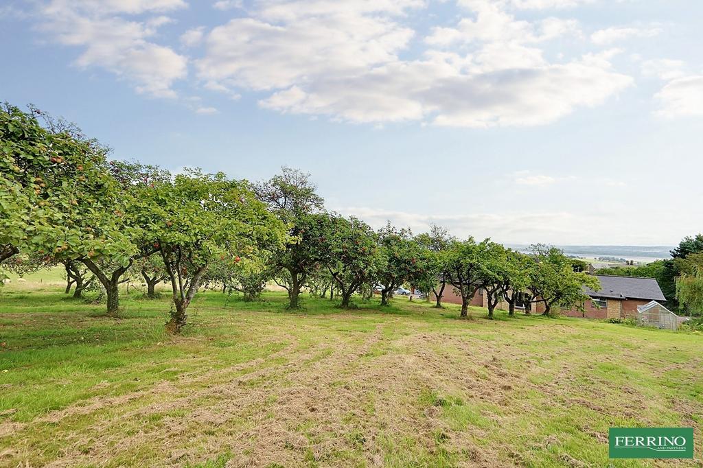 Orchard