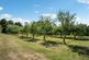 Additional image 44 of Great Brickhill Road, Soulbury, Buckinghamshire