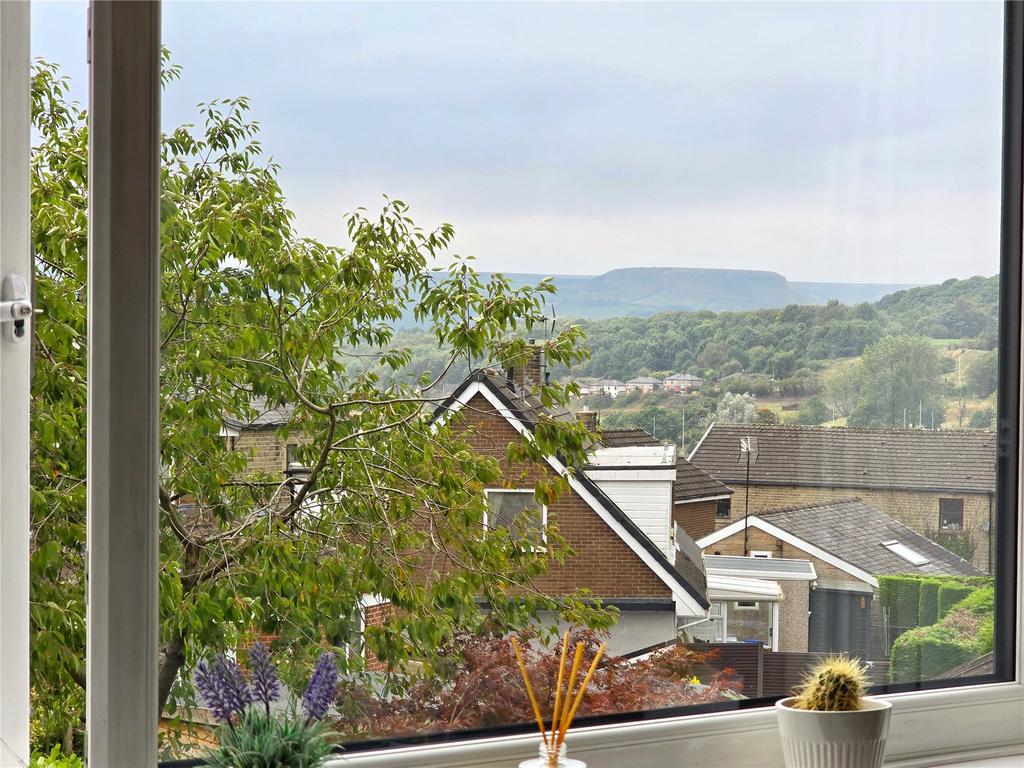 View To Musbury Tor